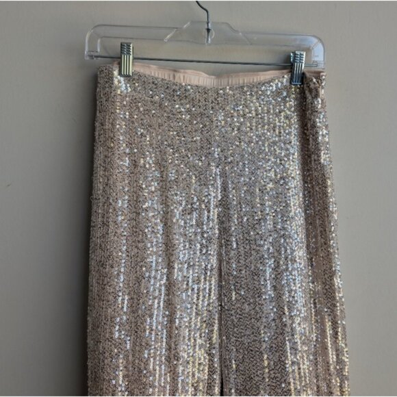 NWT Skies are Blue sequin silver sequin pants with nude base - Picture 5 of 10